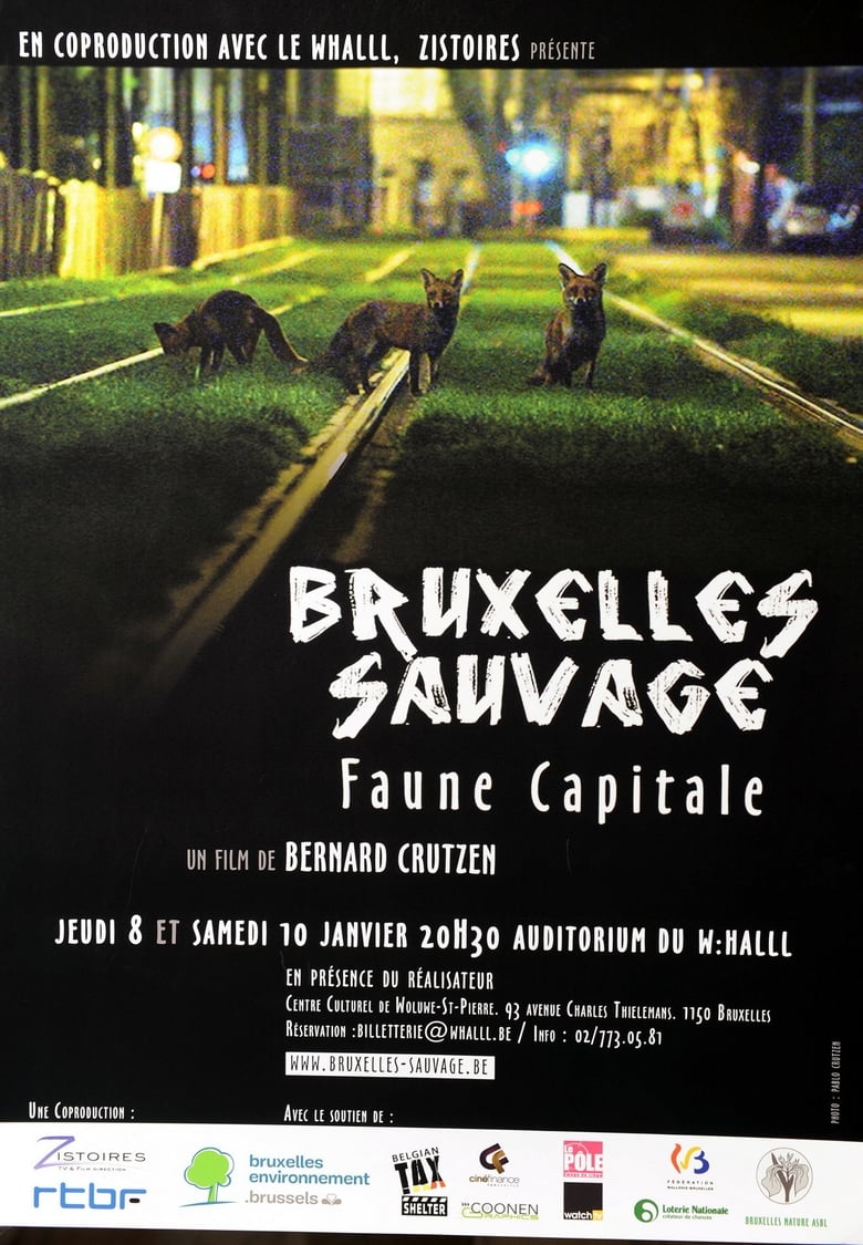 affiche du film Bruxelles Sauvage - Faune Capitale