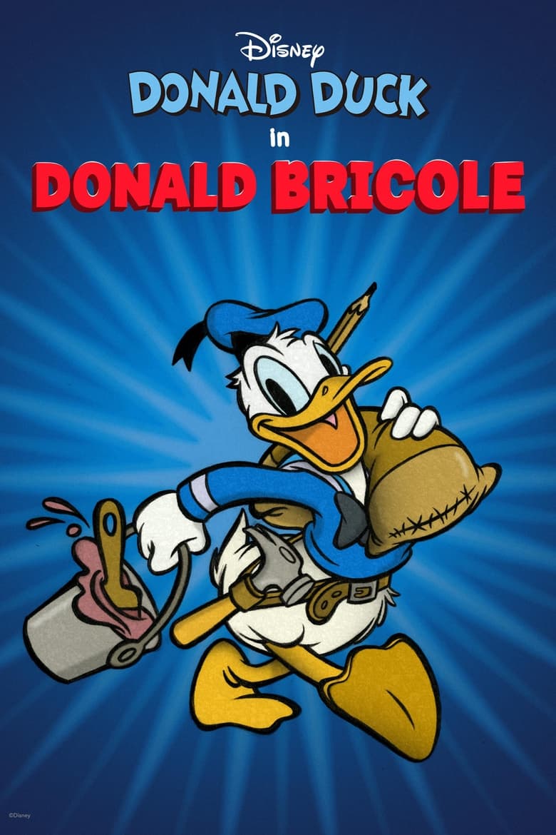 affiche du film Donald bricole