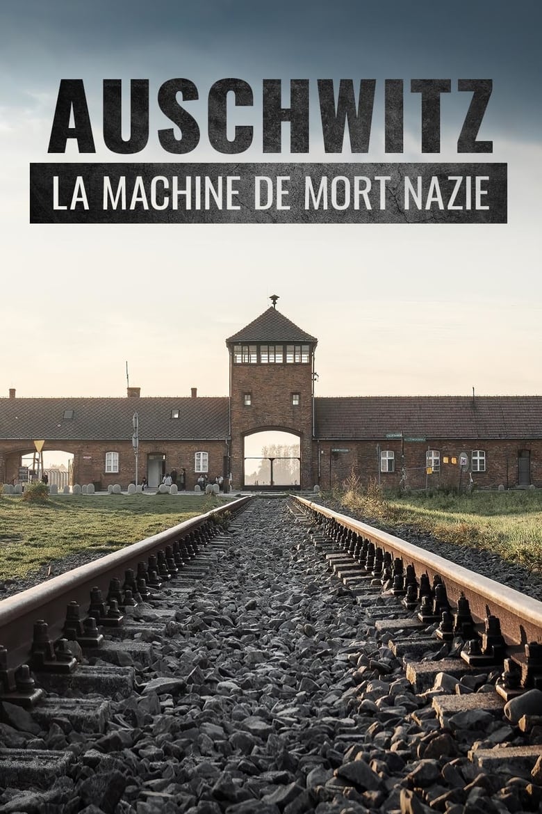 affiche du film Auschwitz, la machine de mort nazie