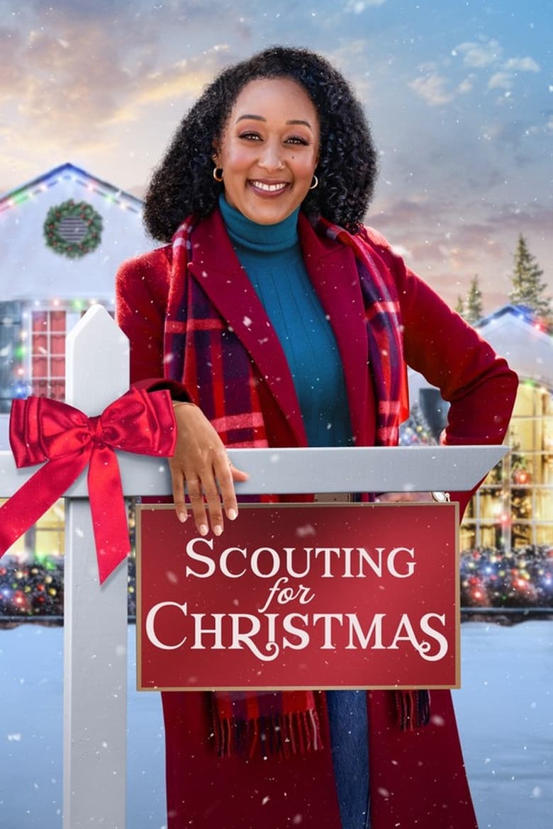 affiche du film Scouting for Christmas