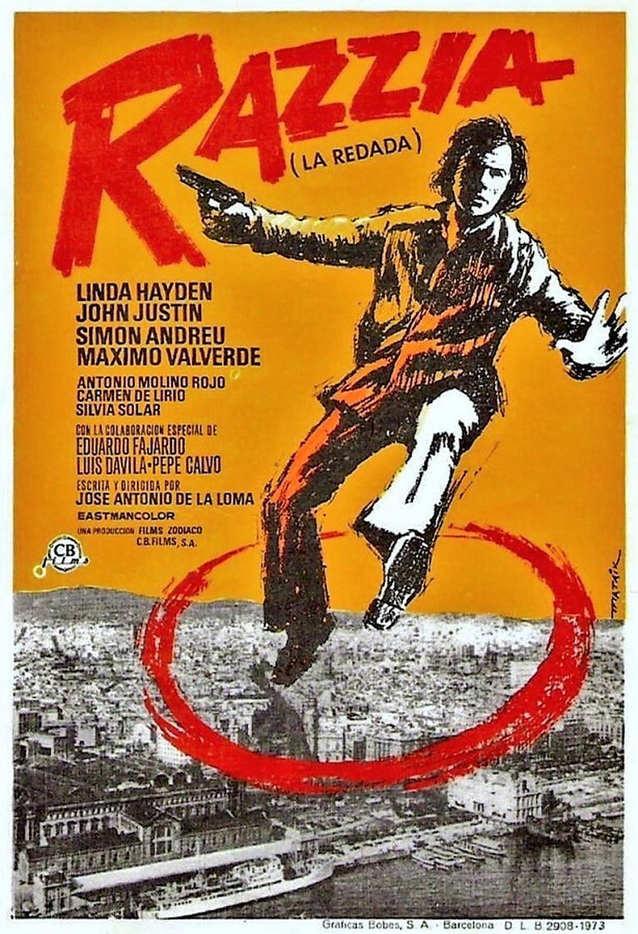 affiche du film La redada