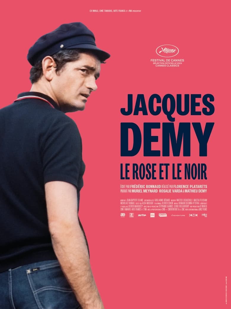 affiche du film Jacques Demy, le rose et le noir