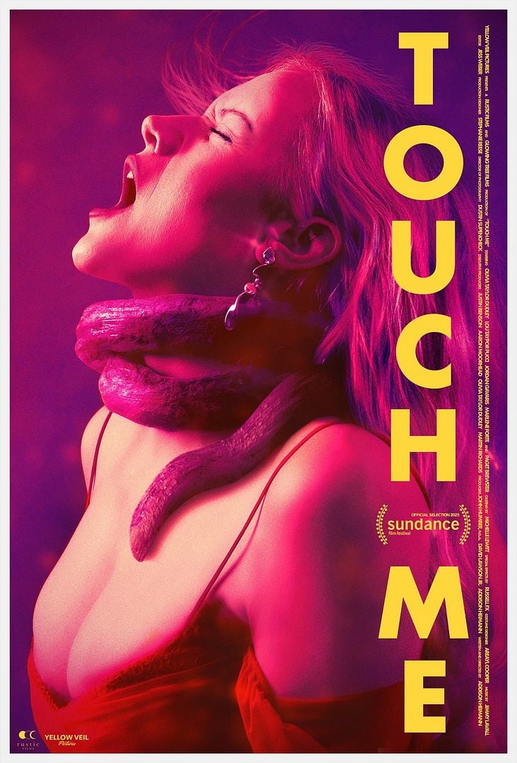 affiche du film Touch Me