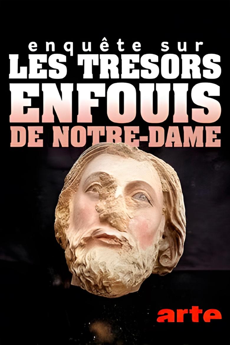 affiche du film Enquête sur les trésors enfouis de Notre-Dame de Paris