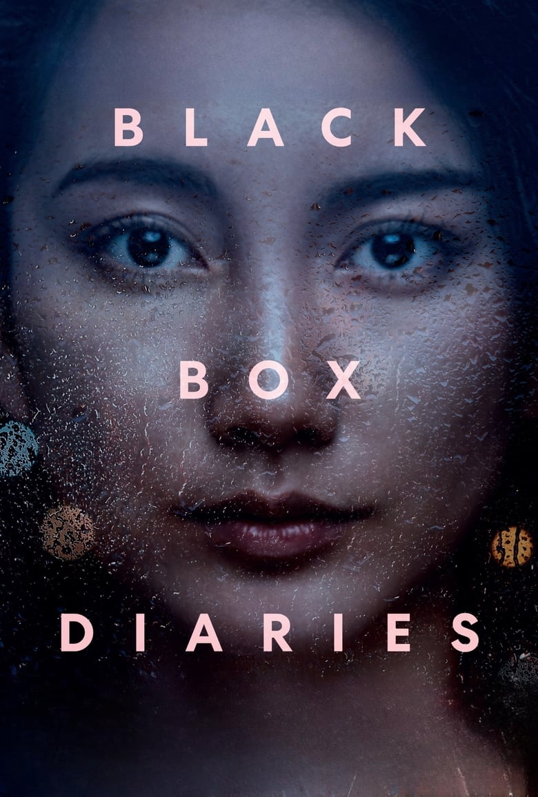 affiche du film Black Box Diaries