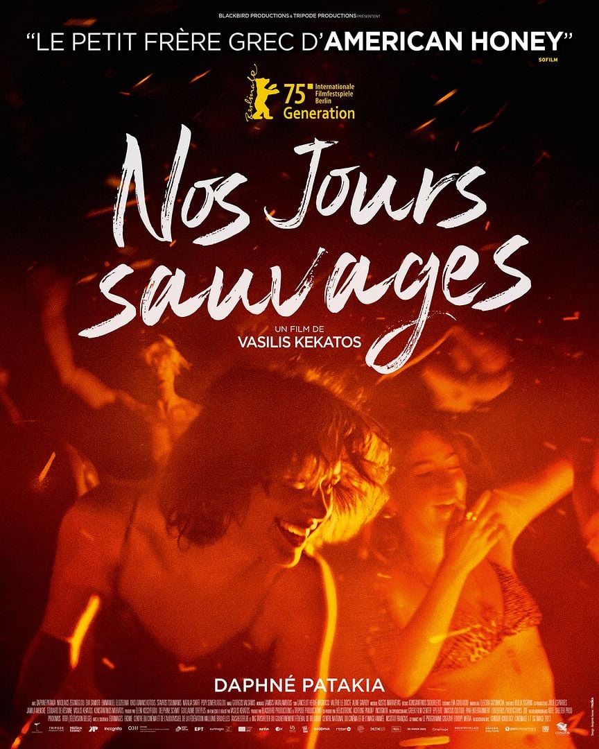 affiche du film Nos Jours Sauvages