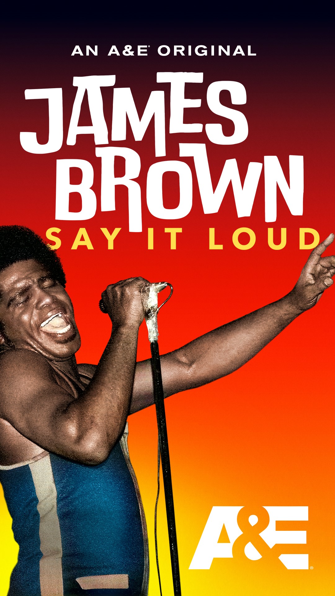 affiche du film James Brown Say it loud