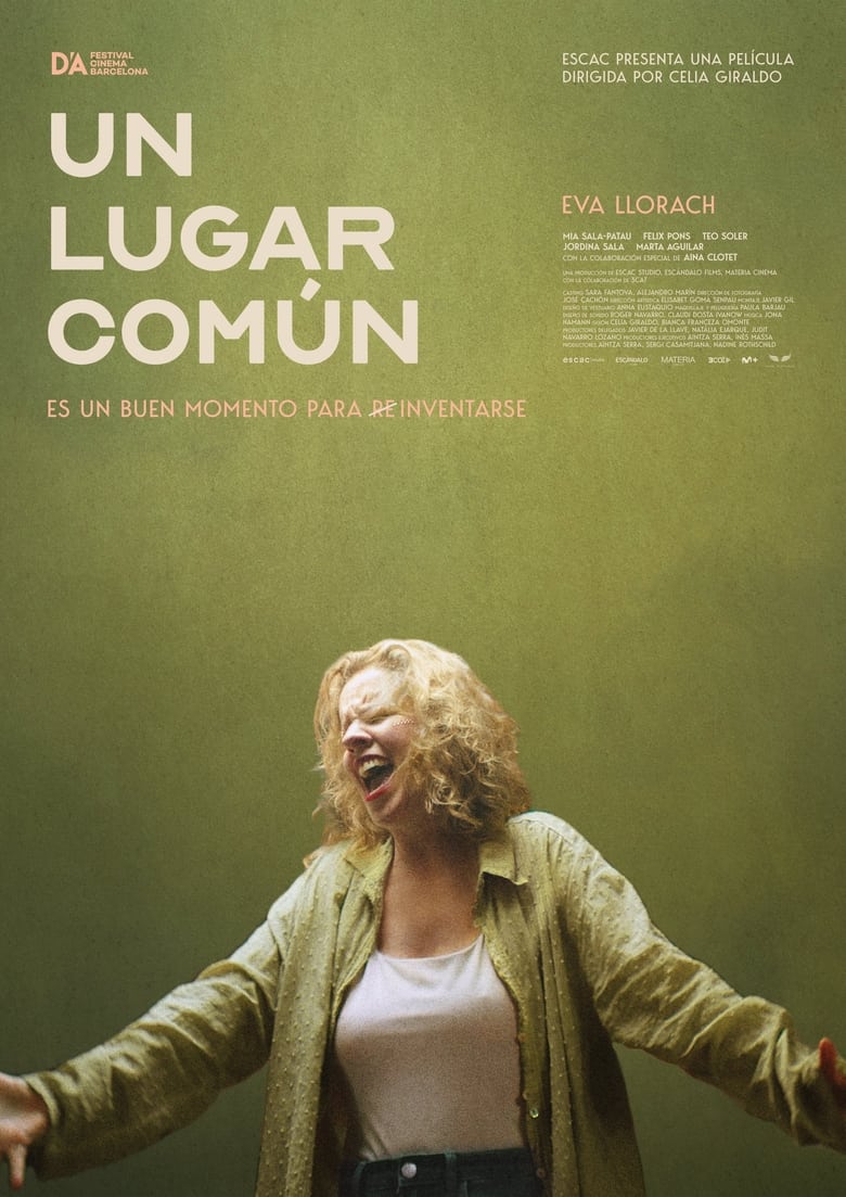 affiche du film Un lugar común