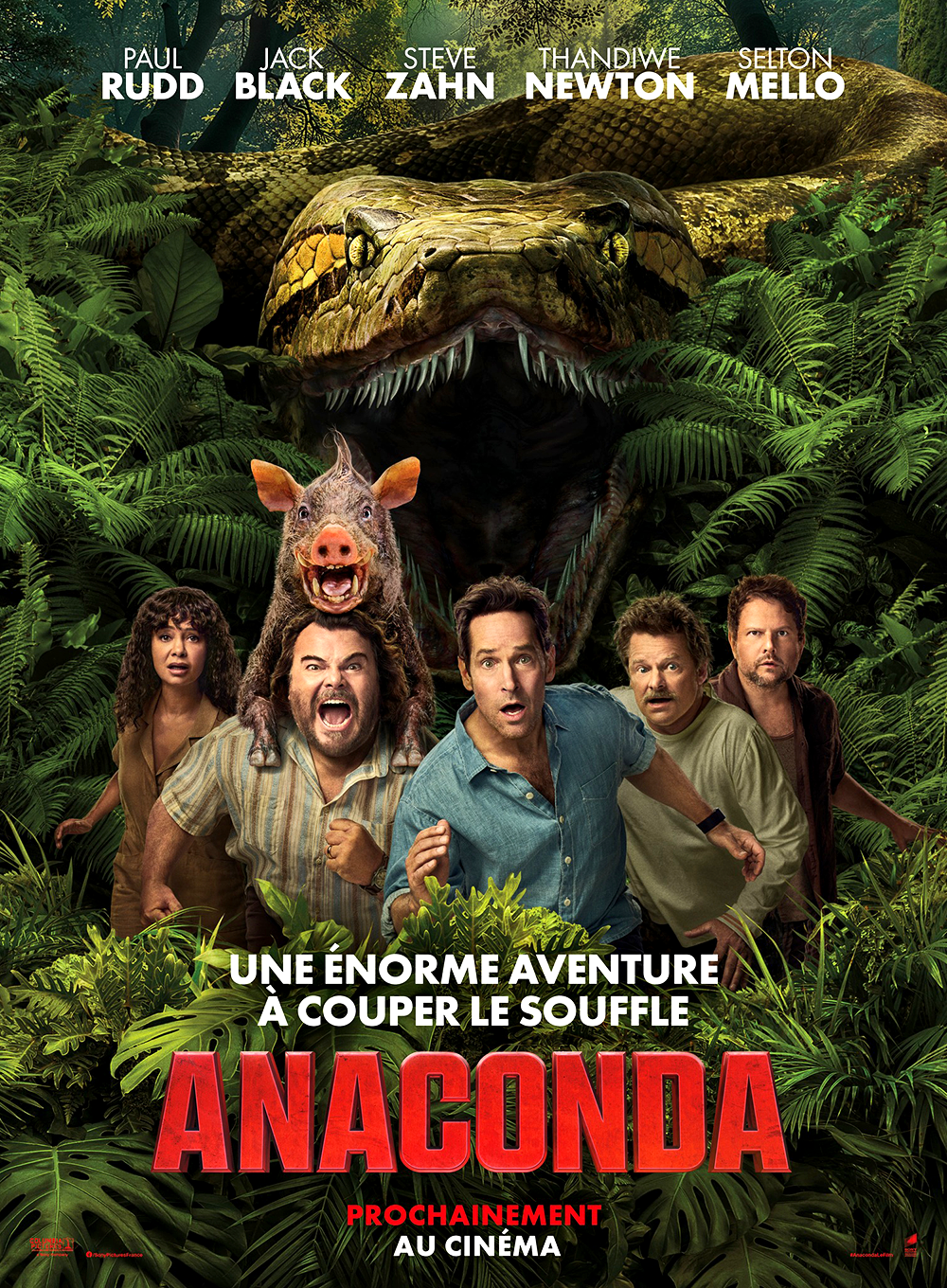 affiche du film Anaconda