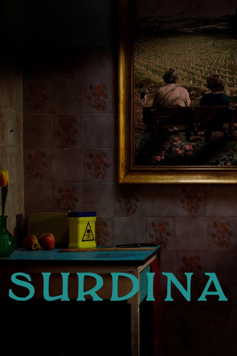 affiche du film Surdina