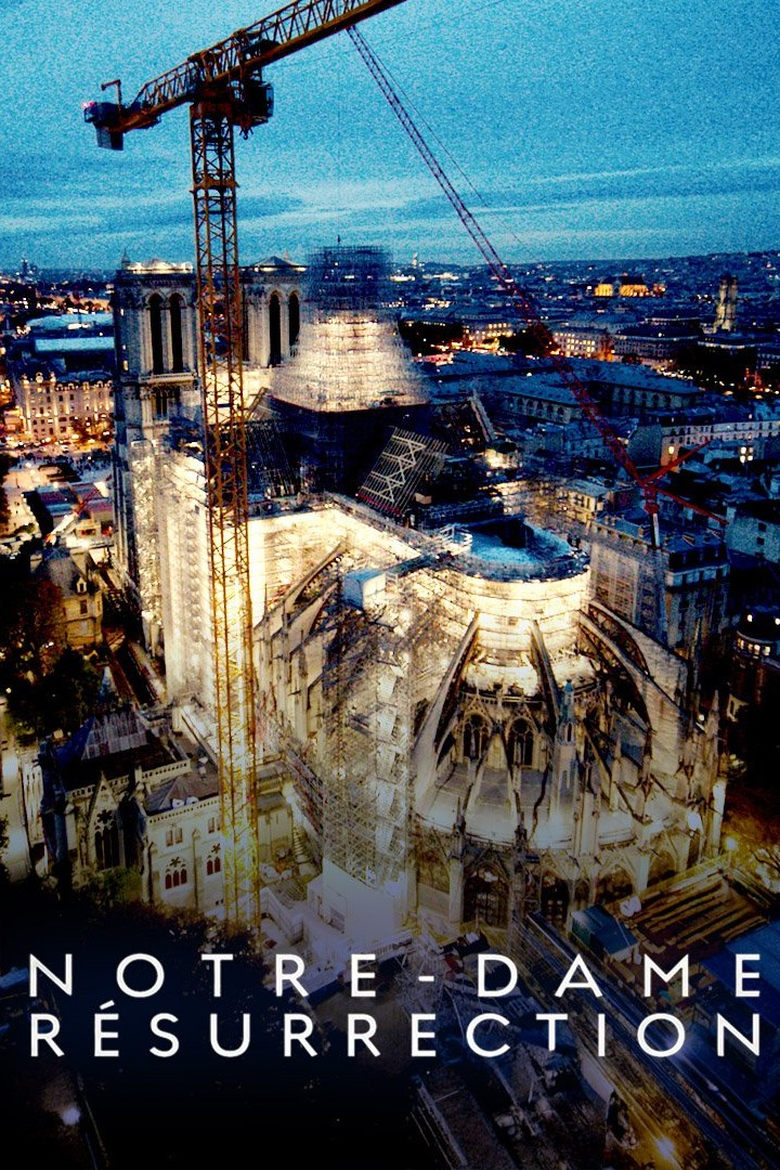 affiche du film Notre-Dame Résurrection