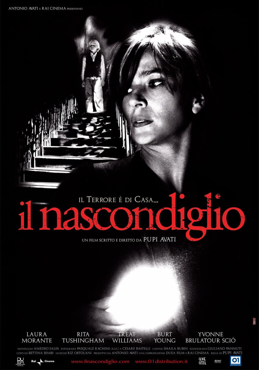 affiche du film Il nascondiglio