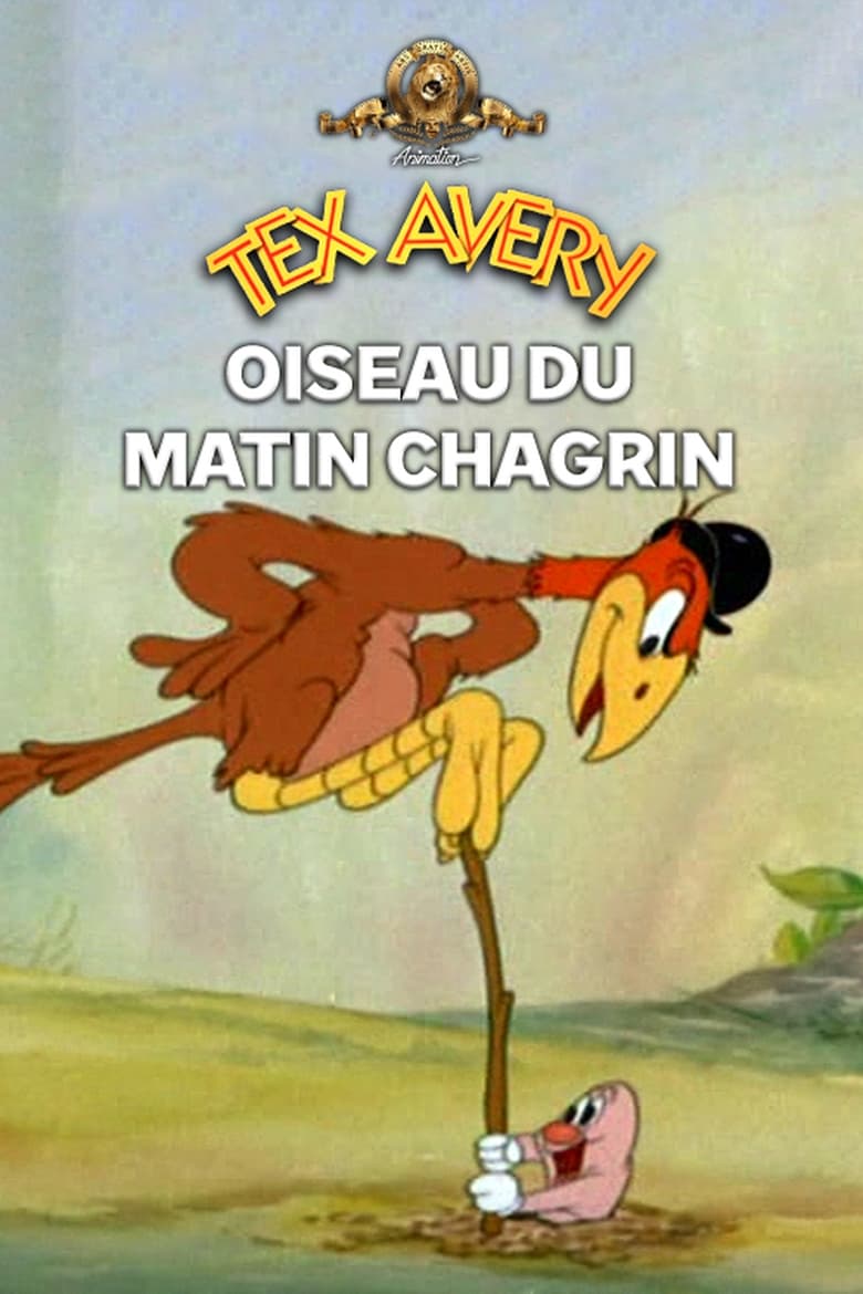 affiche du film Oiseau du matin chagrin