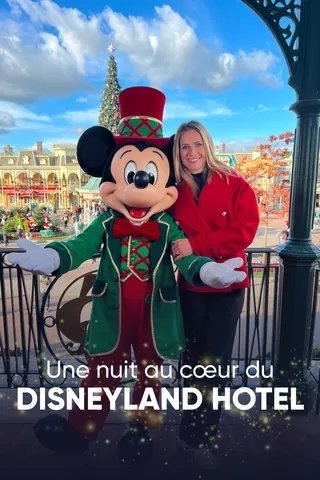 affiche du film Une nuit au cœur du Disneyland hotel