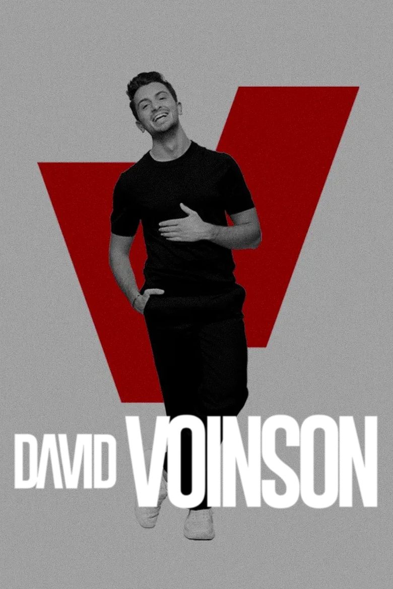 affiche du film David Voinson