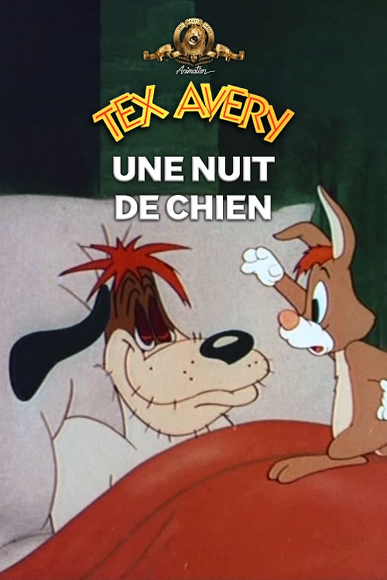 affiche du film Une nuit de chien