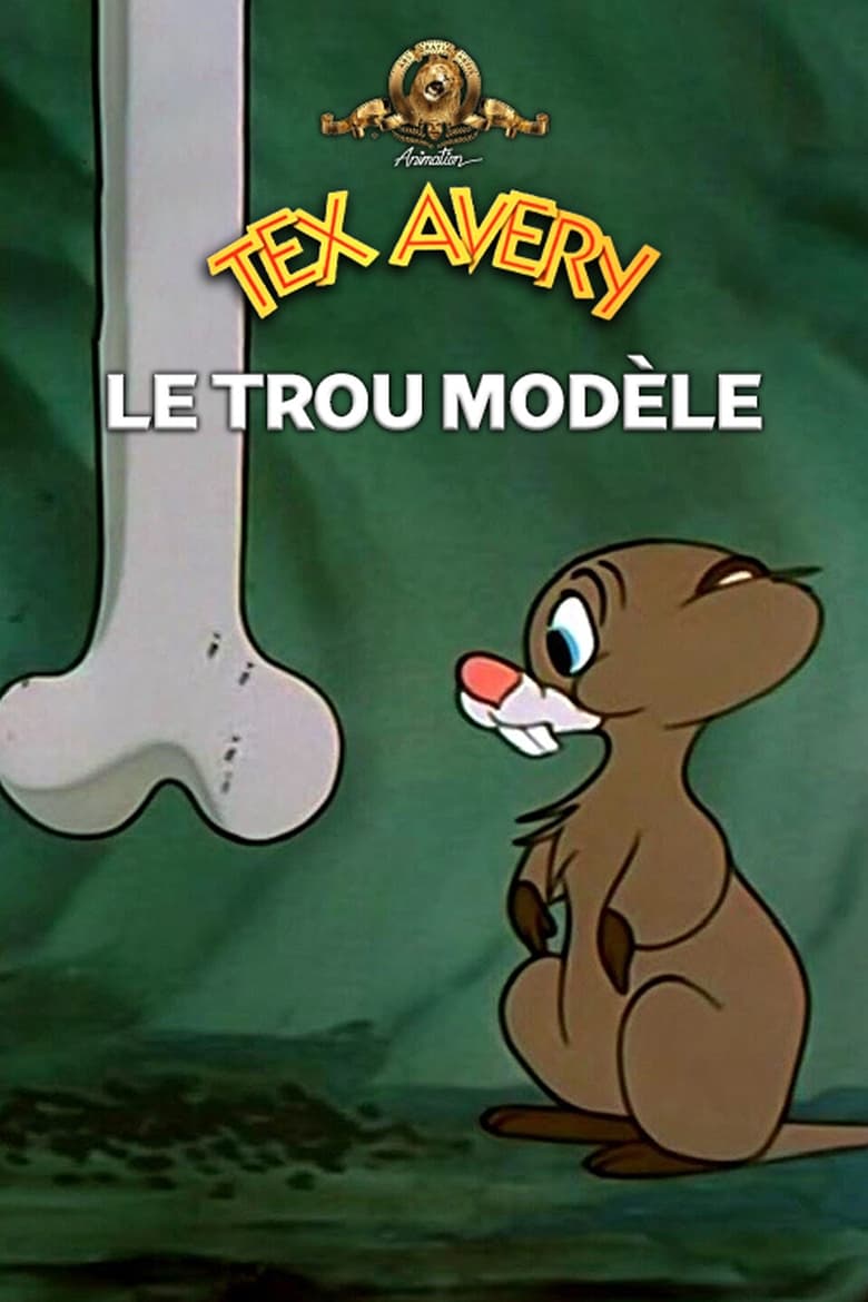 affiche du film Le trou modèle