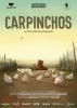 L'arrivée des capybaras (Los carpinchos)