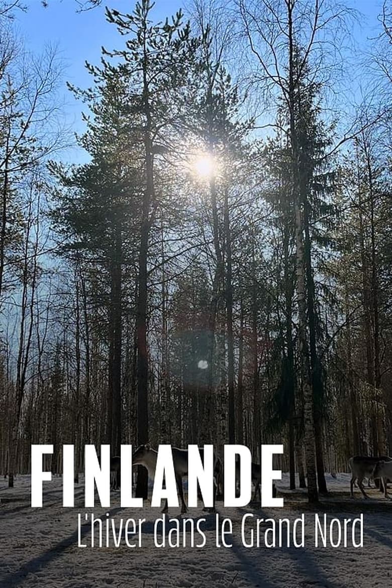 affiche du film Finlande, l'hiver dans le Grand Nord