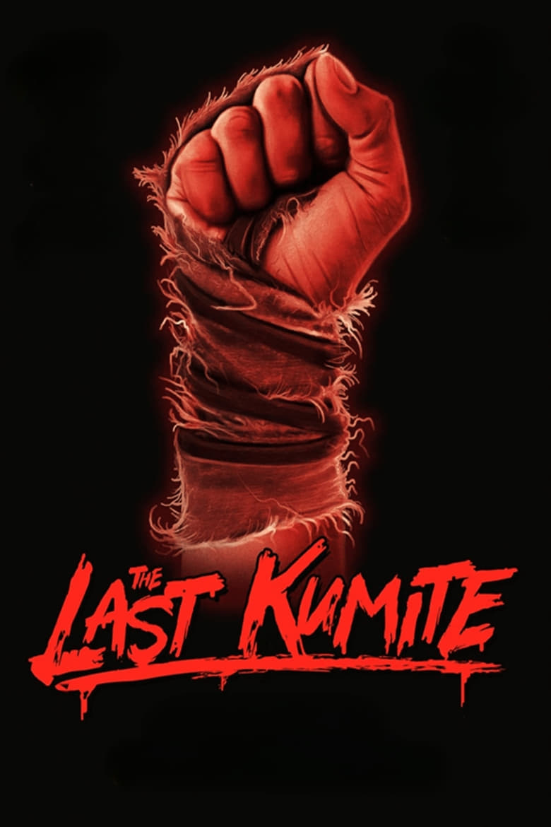 affiche du film The Last Kumite