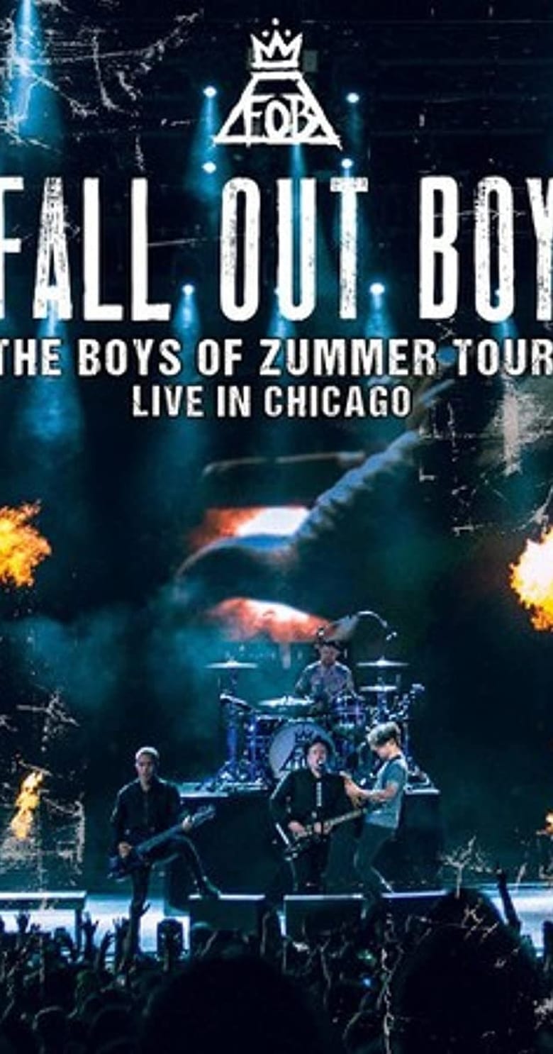 affiche du film Fall Out Boy: The Boys of Zummer Tour Live in Chicago