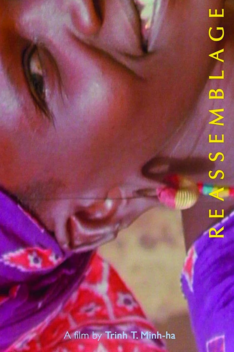 affiche du film Reassemblage: From the Firelight to the Screen
