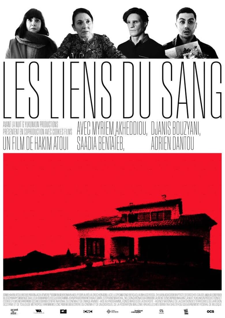 affiche du film Les liens du sang