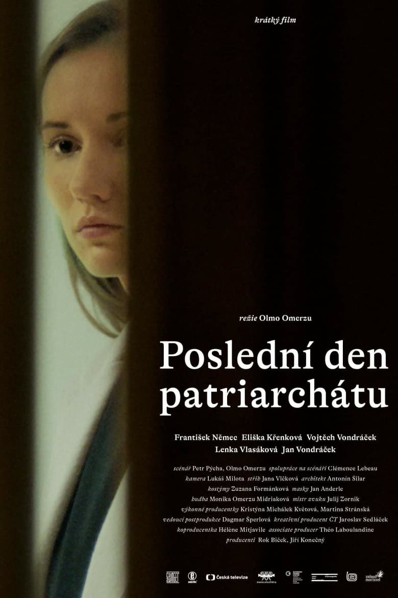 affiche du film Le Dernier Jour du patriarcat