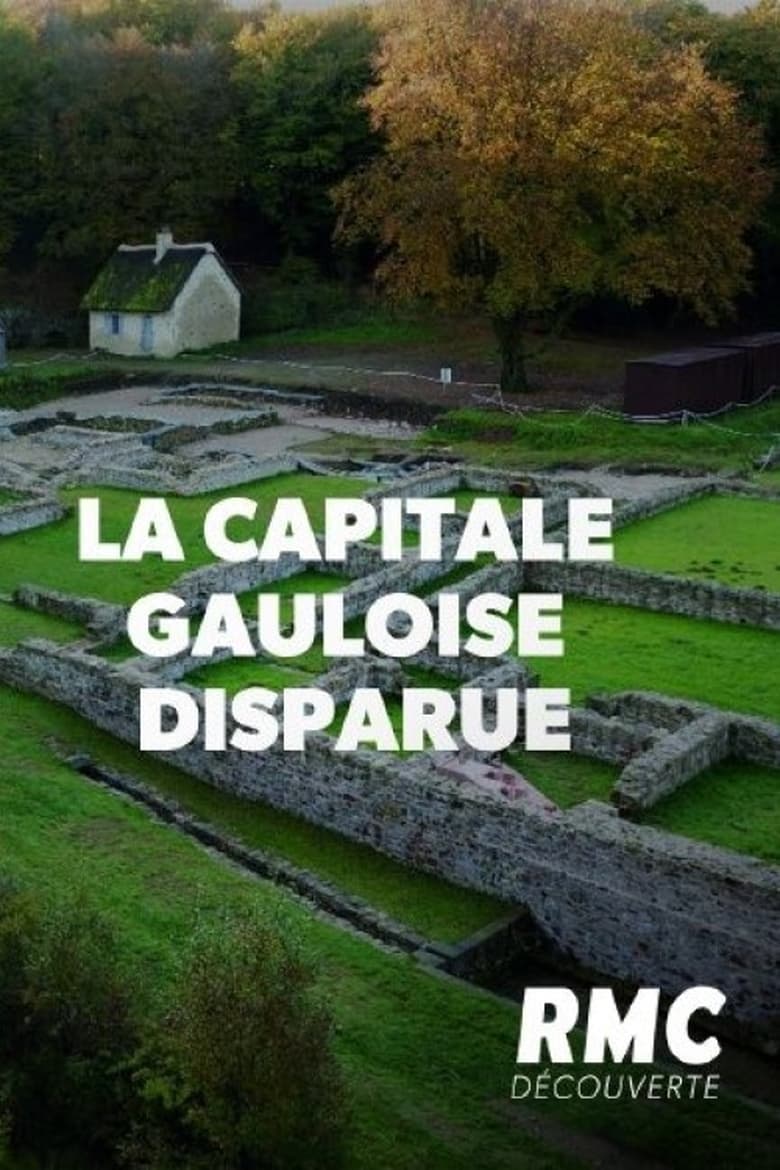 affiche du film La capitale gauloise disparue