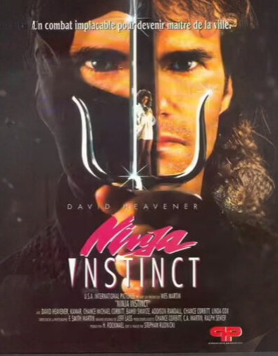 affiche du film Ninja Instinct
