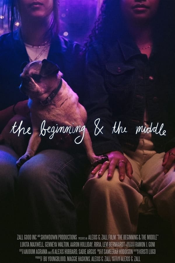 affiche du film The Beginning & The Middle