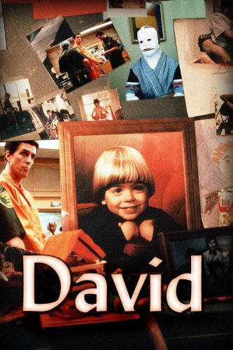 affiche du film David Une Histoire Vraie !