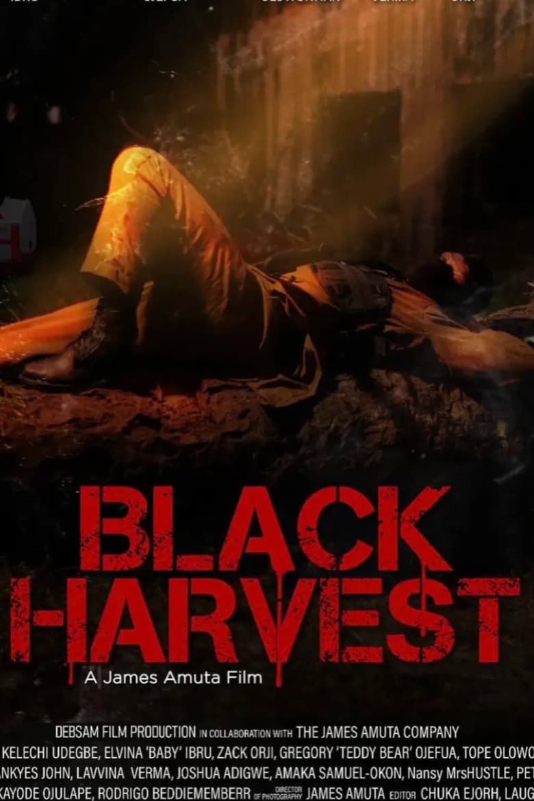 affiche du film Black Harvest