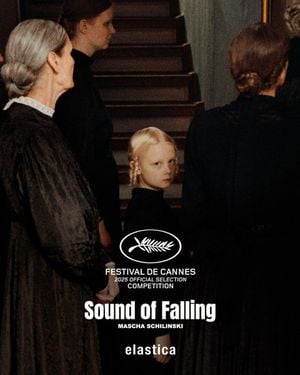 affiche du film Sound of falling