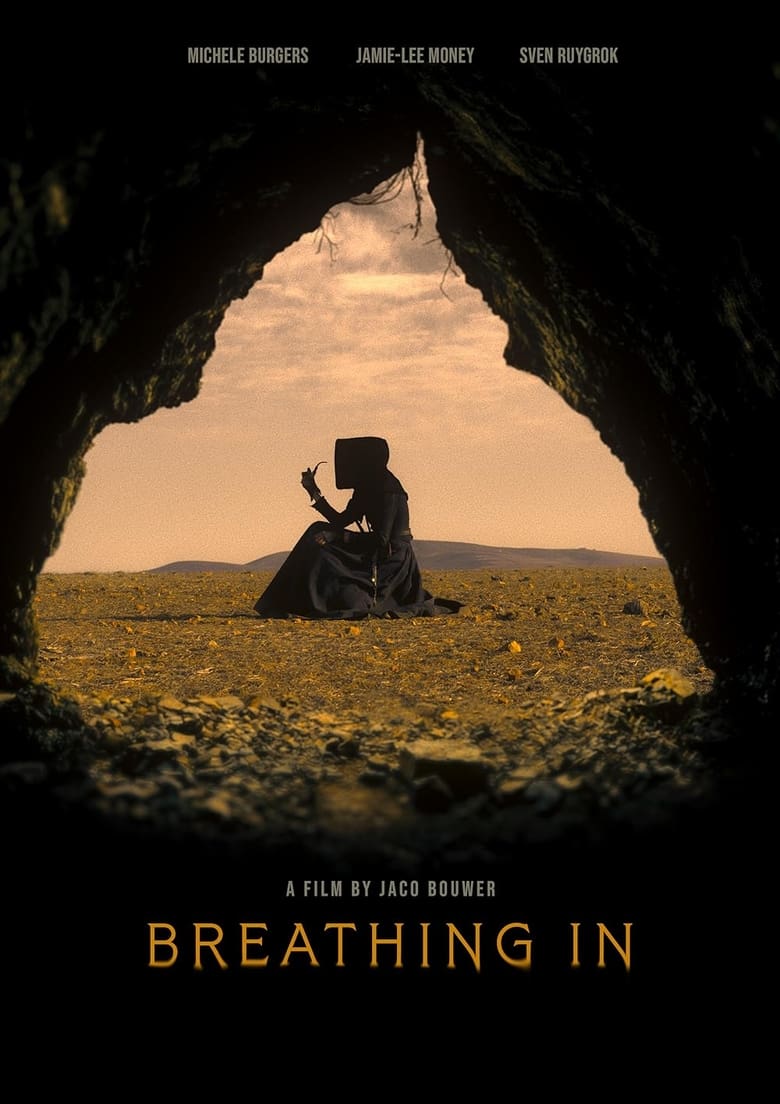 affiche du film Breathing In