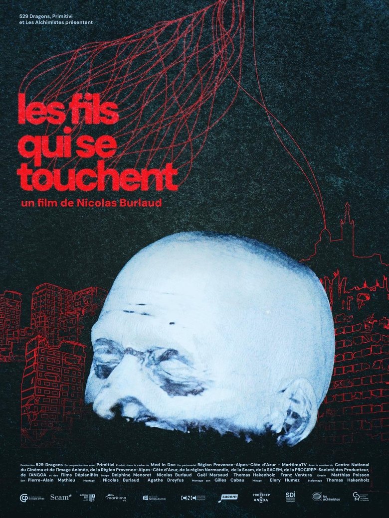 affiche du film Les fils qui se touchent