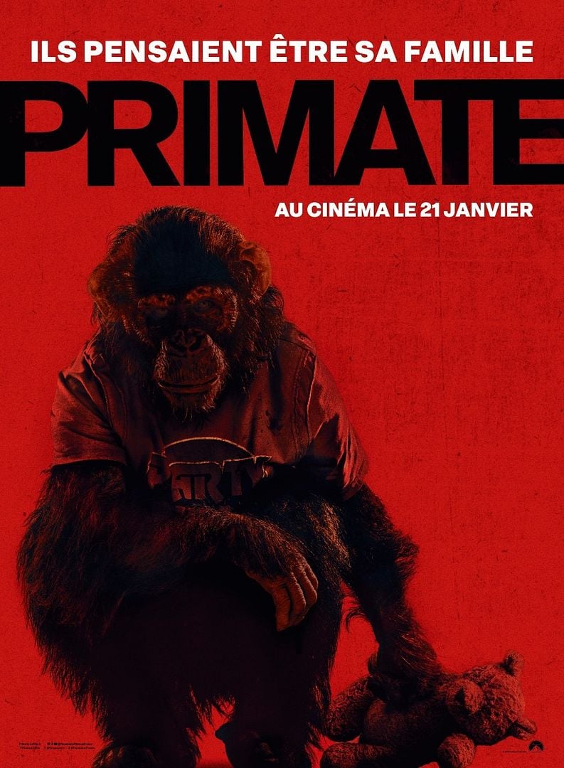 affiche du film Primate
