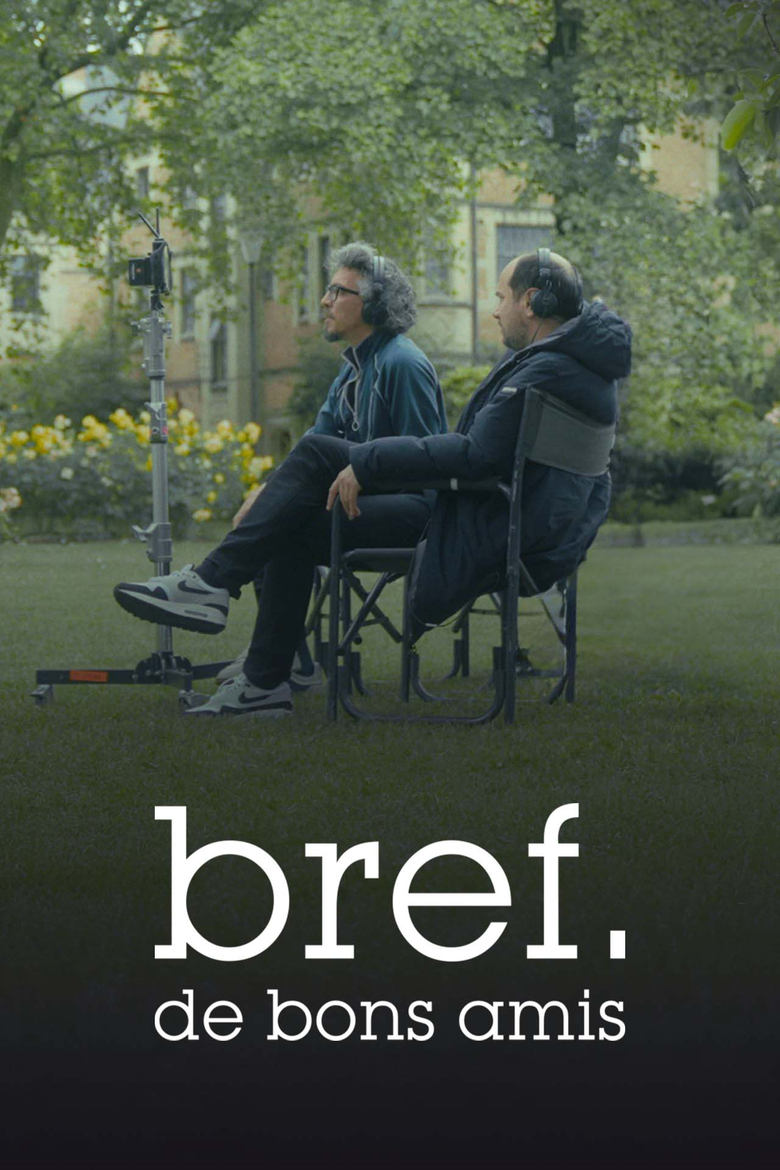 affiche du film Bref. De bons amis