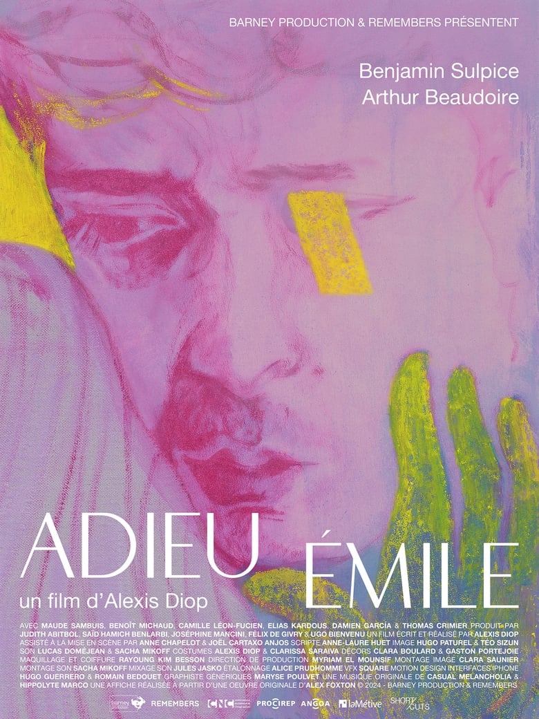 affiche du film Adieu Émile
