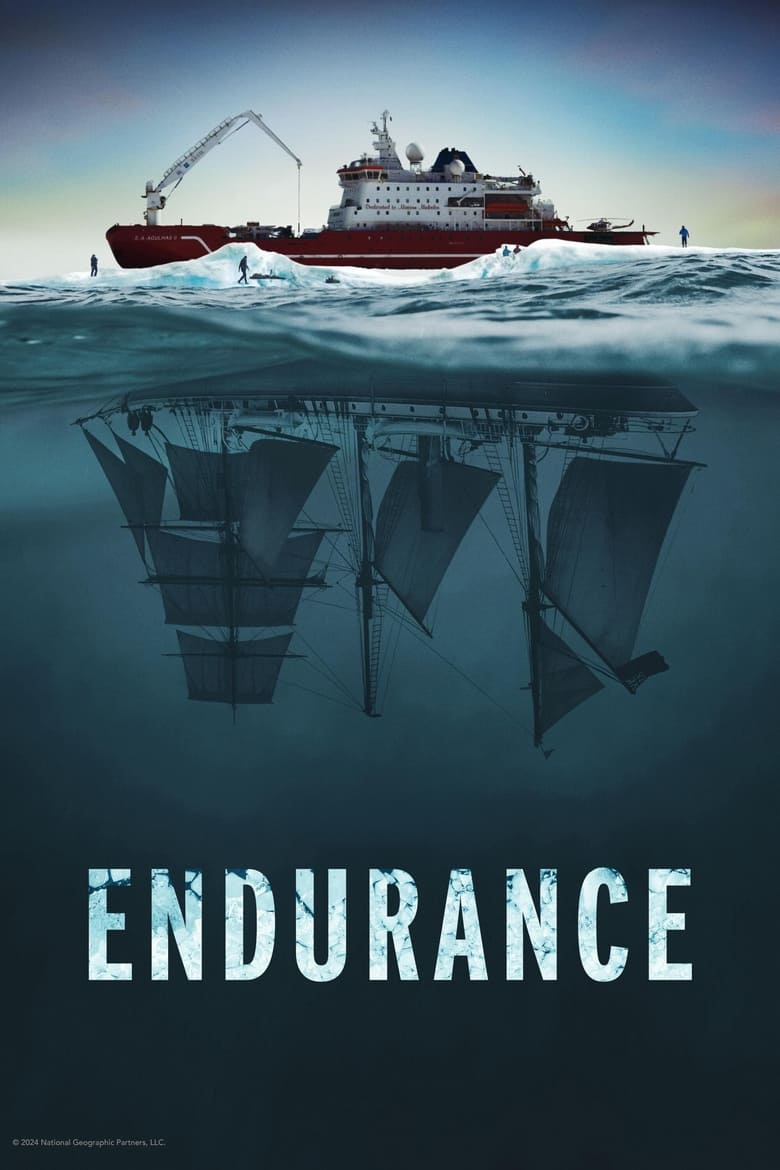 affiche du film Endurance