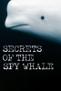 Le mystère du béluga espion (Secrets of the Spy Whale)
