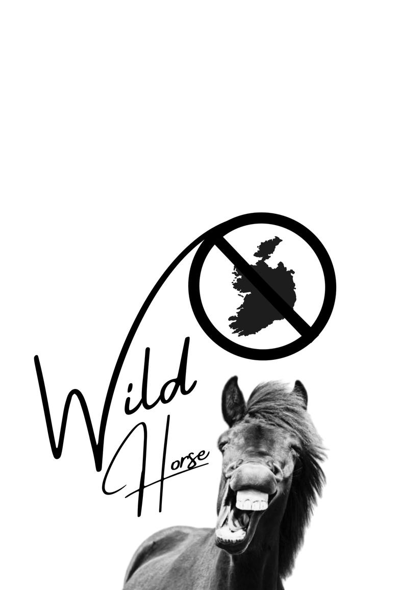 affiche du film Wild Horse Nine
