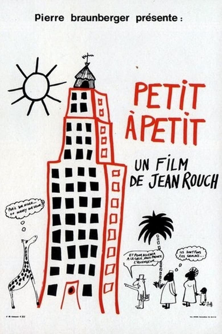 affiche du film Petit à petit