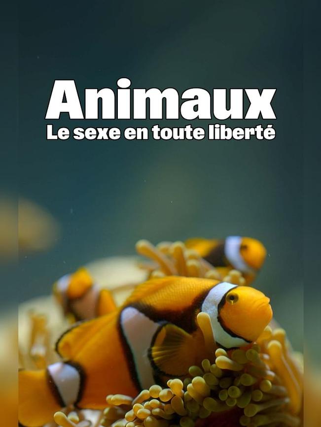 affiche du film Animaux : Le sexe en toute liberté