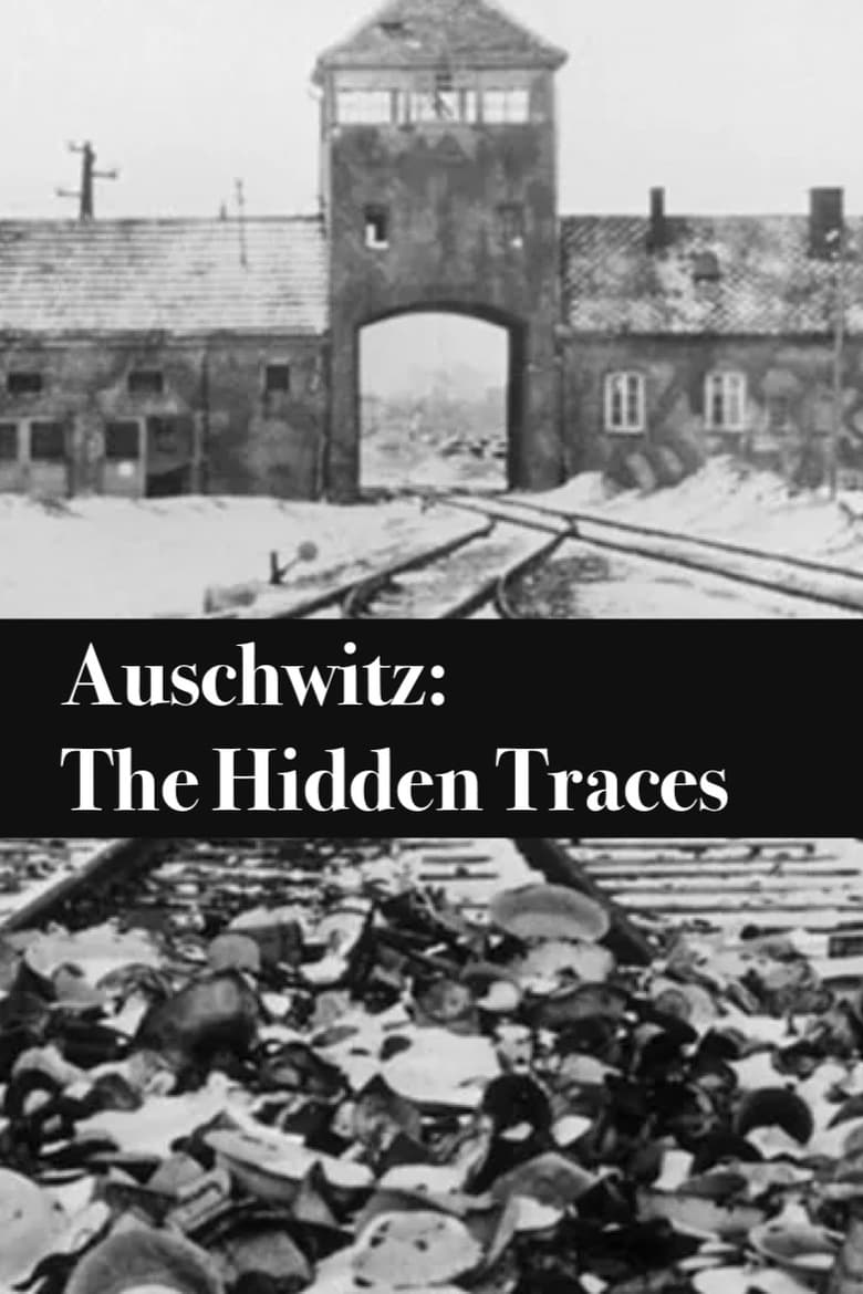 affiche du film Les Traces d'Auschwitz