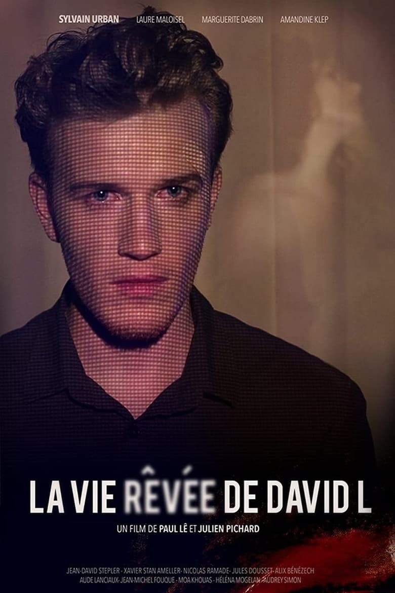affiche du film La vie rêvée de David L