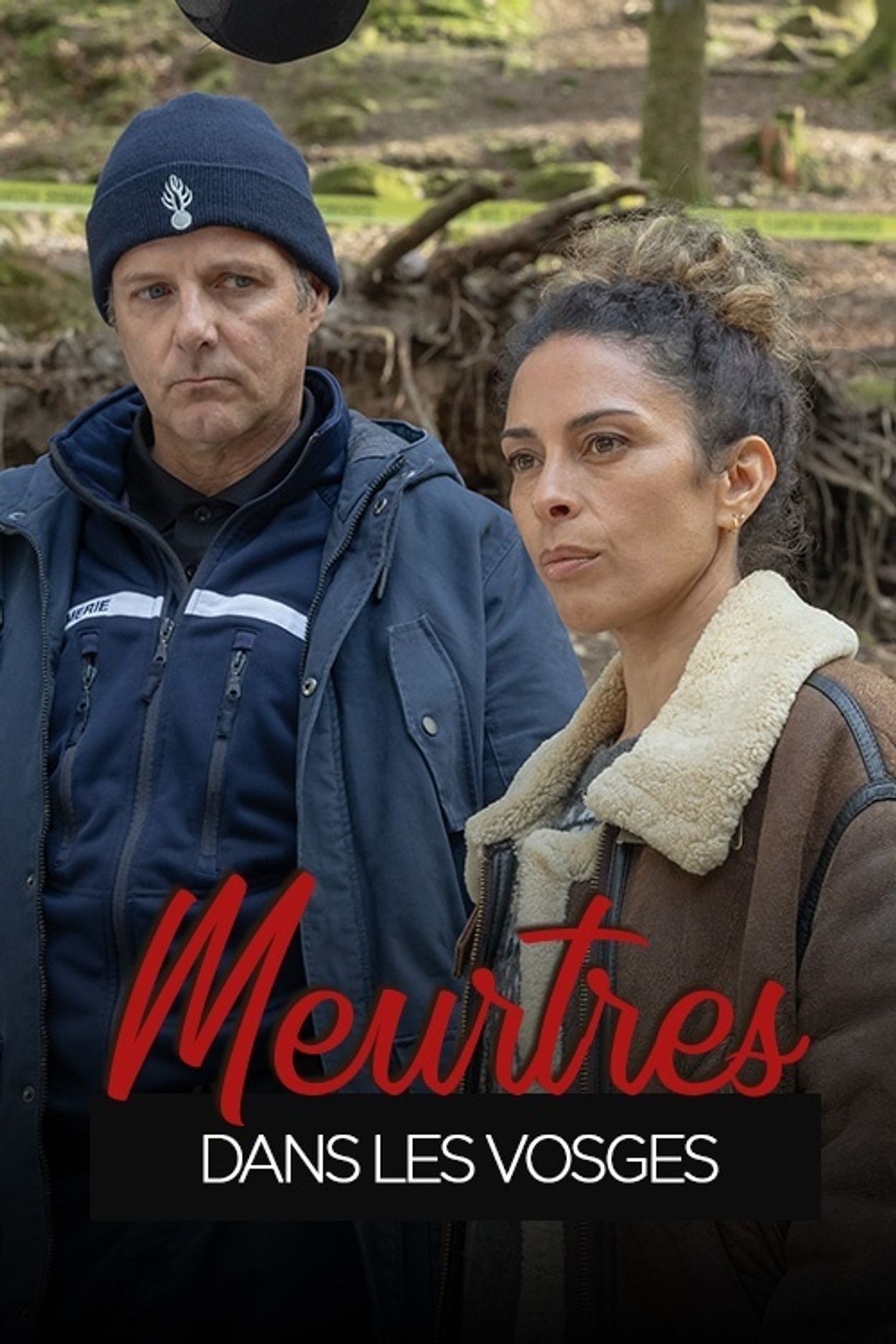 affiche du film Meurtres dans les Vosges