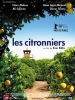 Les citronniers (Etz Limon)