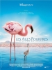 Les ailes pourpres - Le mystère des flamants (The Crimson Wing: Mystery of the Flamingos)