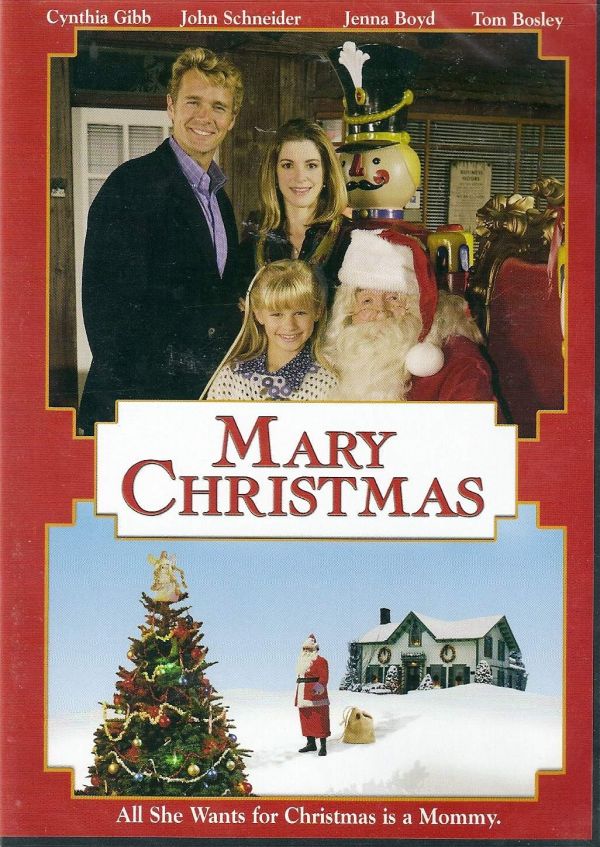 affiche du film Un Noël en famille